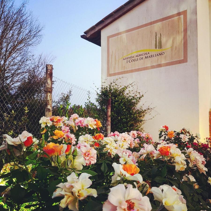 Azienda Agricola I Colli Di Marliano 拉斯特拉·阿塞格纳 外观 照片